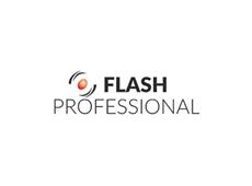 Flash Professional