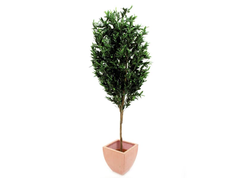 Europalms Olivenbaum mit Früchten, 200cm - Kunstpflanze