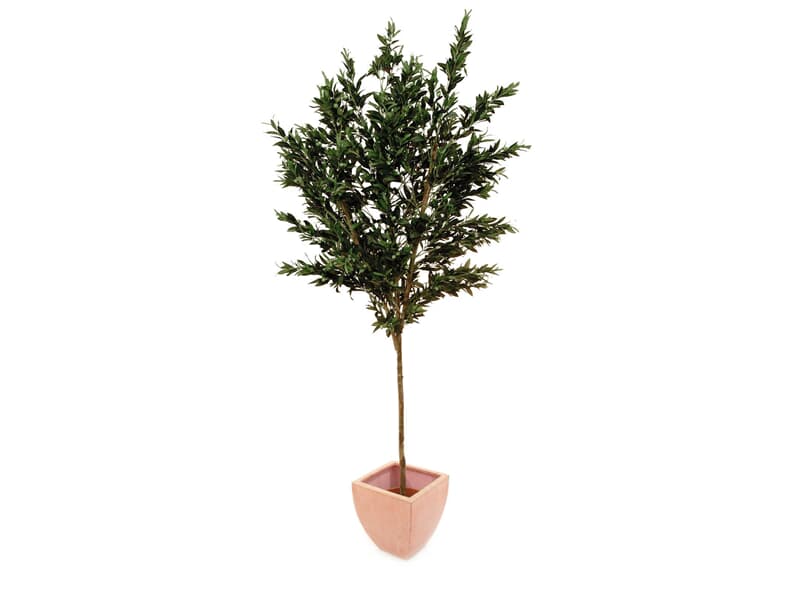 Europalms Olivenbaum mit Früchten, 250cm - Kunstpflanze