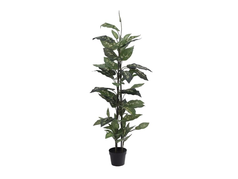 Europalms Dieffenbachia, 120cm - Kunstpflanze