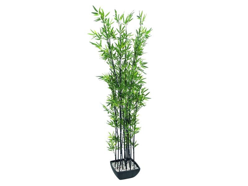 Zierbambus in Dekoschale, 180cm, Kunstpflanze