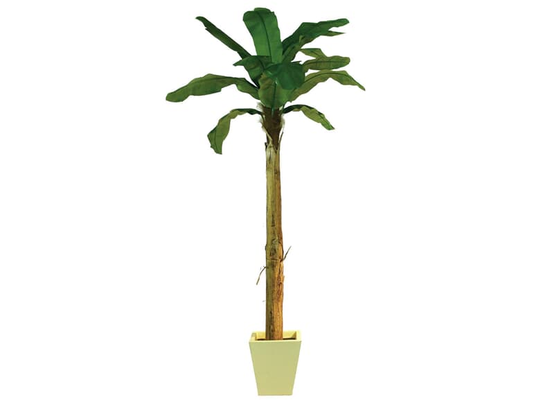 Europalms Bananenbaum, 270cm - Kunstpflanze
