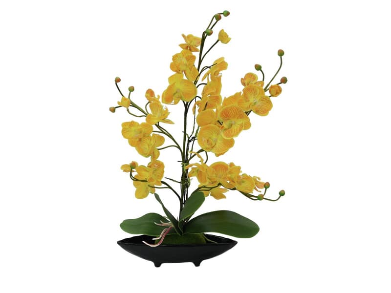 Europalms Orchideenarrangement EVA, gelb - Kunstpflanze