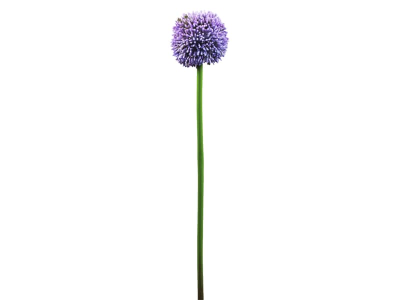 Europalms Alliumzweig, lavendel, 55cm - Kunstpflanze