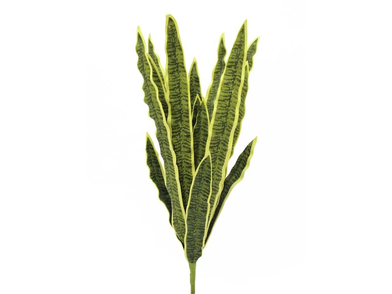 Europalms Sansevieria (EVA), grün-gelb, 50cm