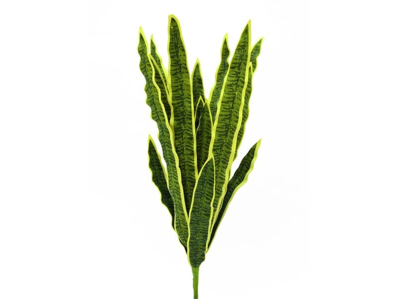 EUROPALMS Sanseveria (EVA), grün, 74cm, Kunstpflanze