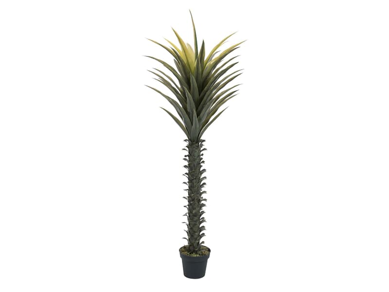 Europalms Yuccapalme, 165cm - Kunstpflanze