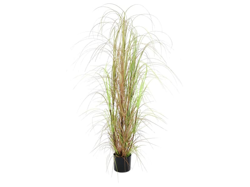 Europalms Grasbusch, 150cm - Kunstpflanze