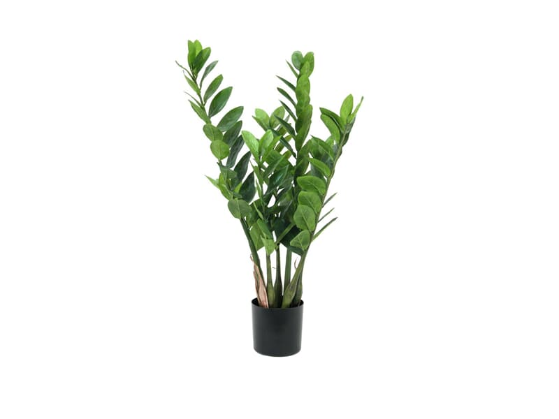 Europalms Zamifolia, 70cm - Kunstpflanze