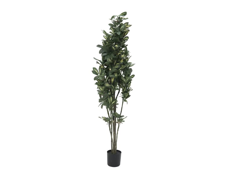 Europalms Schefflera, 120cm - Kunstpflanze