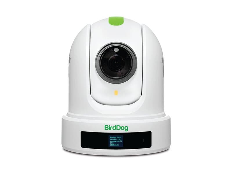 BirdDog P110 - 1080P PTZ Camera with 10x Zoom, OLED screen