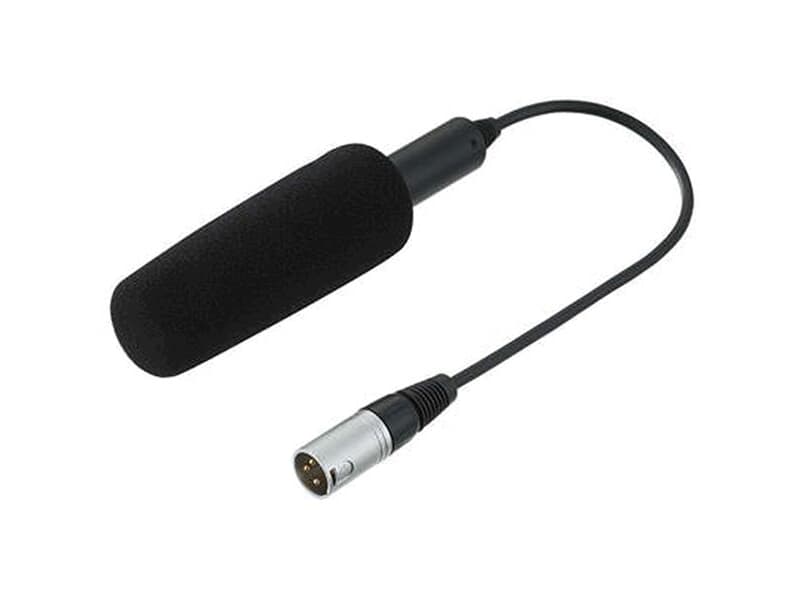 PANASONIC Elektret-Mikrofon mit Super-Richtcharakteristik (48V Phantomspeisung | XLR-Ausgang) - in schwarz
