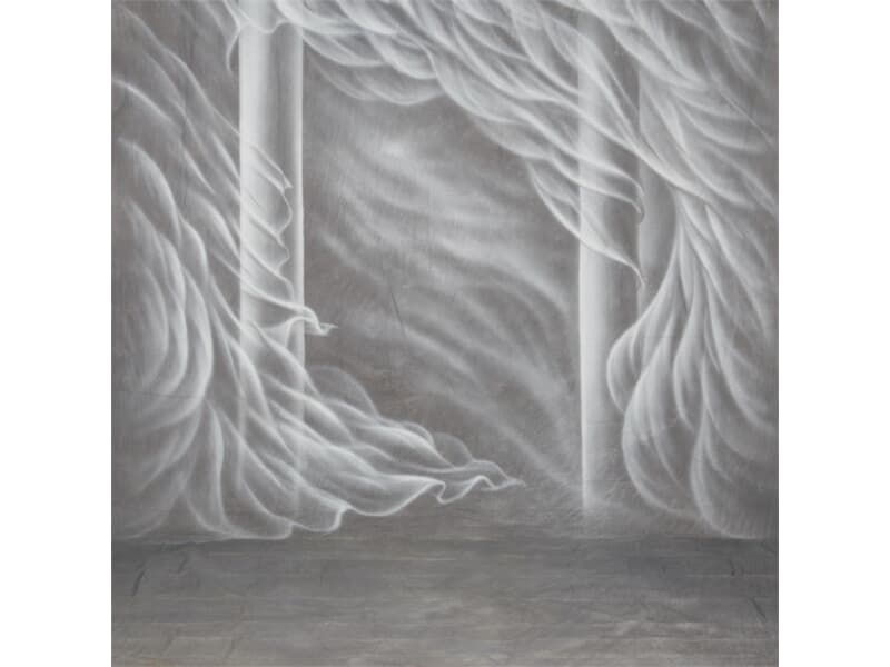 walimex pro Motiv-Stoffhintergrund 'Silk', 3x6m