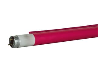 Showtec C-Tube T8 1200 mm 111C - Dark Pink - Colour fast filter