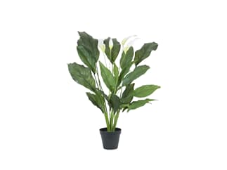 Europalms Spathiphyllum deluxe, 83cm - Kunstpflanze