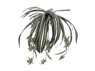 Europalms Grünlilie, 60cm - Kunstpflanze