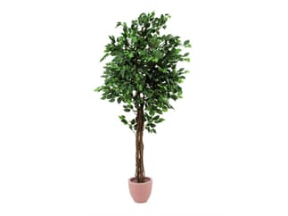 Europalms Ficus-Benjamini Multi-Stamm, 180cm, Kunstpflanze