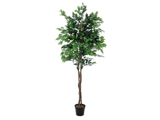 Europalms Ficus-Benjamini Multi-Stamm, 210cm - Kunstpflanze