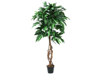 Europalms Dschungelbaum Mango, 150cm - Kunstpflanze