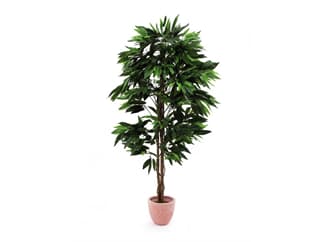 Europalms Dschungelbaum Mango 180cm, Kunstpflanze