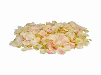EUROPALMS Rosenblätter, künstlich, gelb/pink, 500x