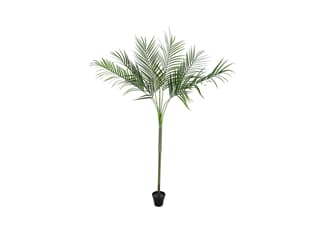 Europalms Areca deluxe, 180cm - Kunstpflanze