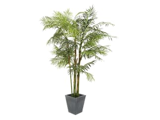 Europalms Cycusrohrpalme, 280cm - Kunstpflanze