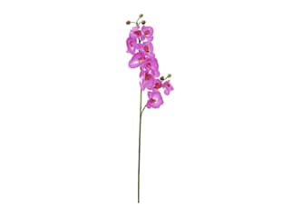 Europalms Orchideenzweig, lila, 100cm - Kunstpflanze