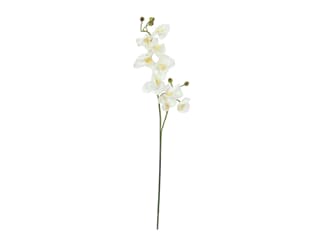 Europalms Orchideenzweig, creme-weiß, 100cm - Kunstpflanze