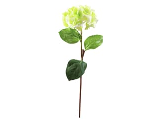 Europalms Hortensienzweig, grün, 76cm - Kunstpflanze