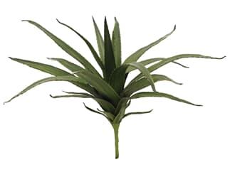 Europalms Aloe (EVA), grün, 50cm - Kunstpflanze