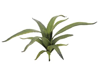 Europalms Aloe (EVA), grün, 66cm - Kunstpflanze