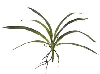 Europalms Orchideenblatt (EVA), grün, 45cm - Kunstpflanze