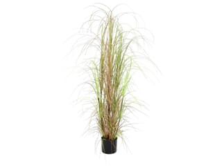 Europalms Grasbusch, 150cm - Kunstpflanze