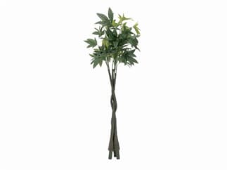 Europalms Pachirabaum, 160cm - Kunstpflanze