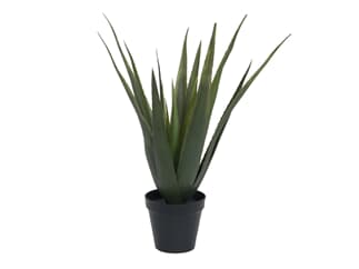Europalms Aloe-Vera Pflanze, 60cm - Kunstpflanze