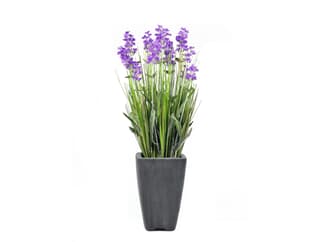 Europalms Lavendel, lila, im Dekotopf, 45cm - Kunstpflanze