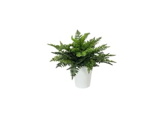 Europalms Farnbusch im Dekotopf, 51 Blätter, 48cm - Kunstpflanze