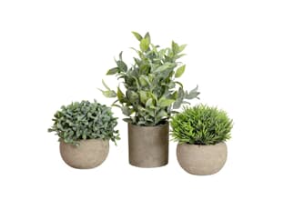 EUROPALMS Table plants in pots, artificial plant, Set of 3