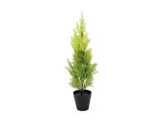 Europalms Zypresse, Leyland, 60cm - Kunstpflanze