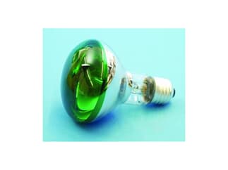 Reflektorlampe OMNILUX R80 230V/60W E-27 grün