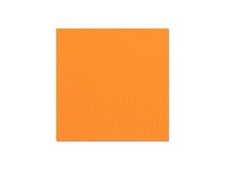 ah Hardware 04701G - Birkensperrholz PVC-beschichtet mit Gegenzugfolie orange 6,9 mm