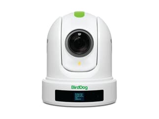 BirdDog P110 - 1080P PTZ Camera with 10x Zoom, OLED screen
