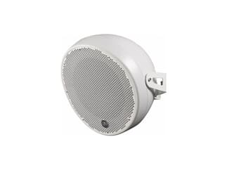 DAS Audio OVI-12-W - Passiver 12"/1.4" Koaxial-Lautsprecher für Wand- oder Deckenmont