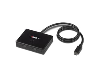 LINDY 2 Port USB 3.2 Gen 1 Typ C Switch - bidirektional