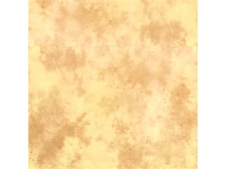 Lastolite Textilhintergrund Arizona 300x350cm, spannbar