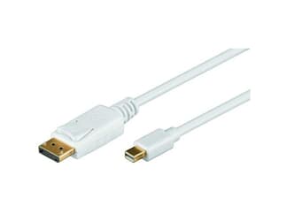 Mini DisplayPort > DisplayPort 1,0 Meter, Adapterkabel lose Ware