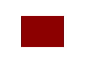 LEE-Filters, Nr. 027, Bogen 25x122cm,normal, Medium Red