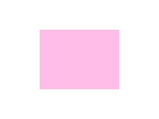 LEE-Filters, Nr. 035, Bogen 25x122cm,normal, Light Pink