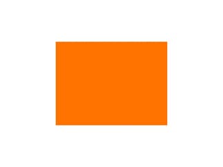 LEE-Filters, Nr. 105, Rolle 762x122cm,normal, Orange
